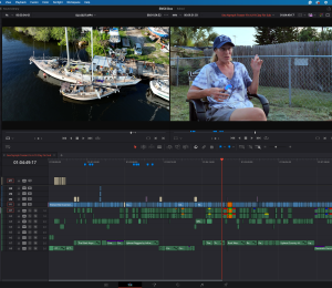 DaVinci Resolve Timeline